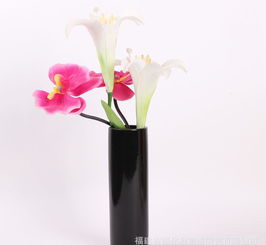 現(xiàn)代簡約陶瓷工藝品花瓶 價格、廠家與搭配指南