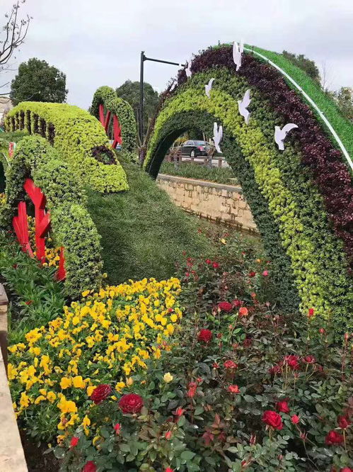 五色草綠雕 廣場景區(qū)的點睛之筆，熱氣球造型與更多定制選擇