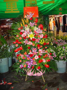 綻放的藝術(shù) 一站式鮮花綠植服務(wù)與展臺設(shè)計搭建解決方案