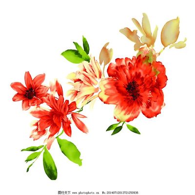 自然之筆 位圖風(fēng)格下的寫意花卉藝術(shù)與免費素材應(yīng)用