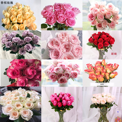 從泥土到云端 現(xiàn)代花卉苗木產(chǎn)業(yè)的數(shù)字化融合之路